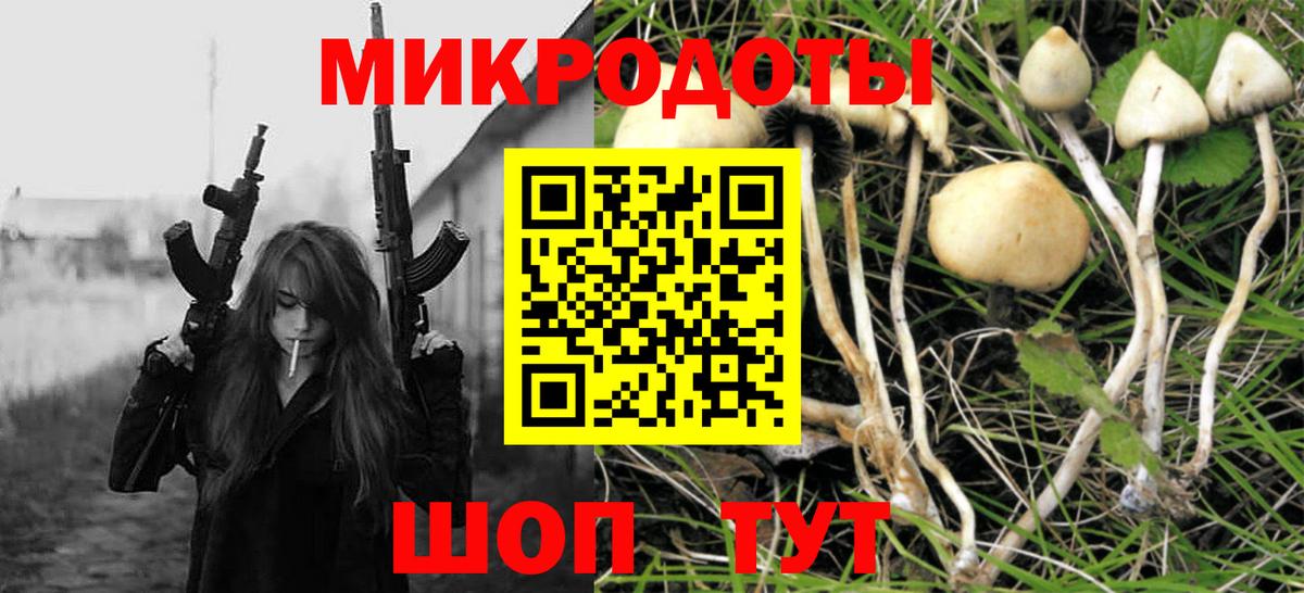 Галлюциногенные грибы GOLDEN TEACHER Кировск